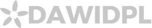 DawidPL
